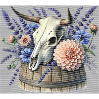 Country music-CM-640